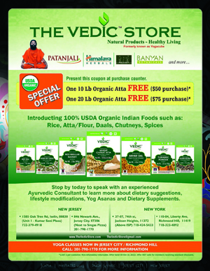 Vedic Store.jpg